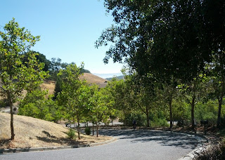 Winding section of Arnerich Road, Los Gatos, CA