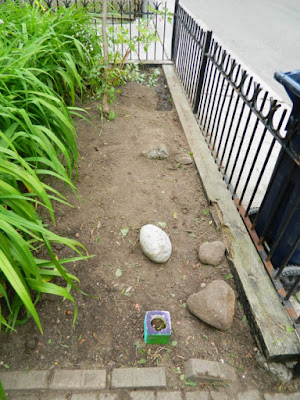 Toronto Summer Garden Cleanup in Leslieville After by Paul Jung Gardening Services--a Toronto Organic Gardener Toronto Summer Garden Cleanup in Leslieville After by Paul Jung Gardening Services--a Toronto Organic Gardener