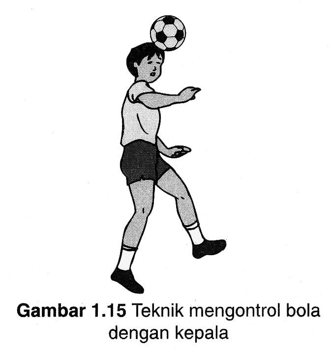Materi Ajar Kelas 6 Permainan Bola Besar (Sepak Bola)