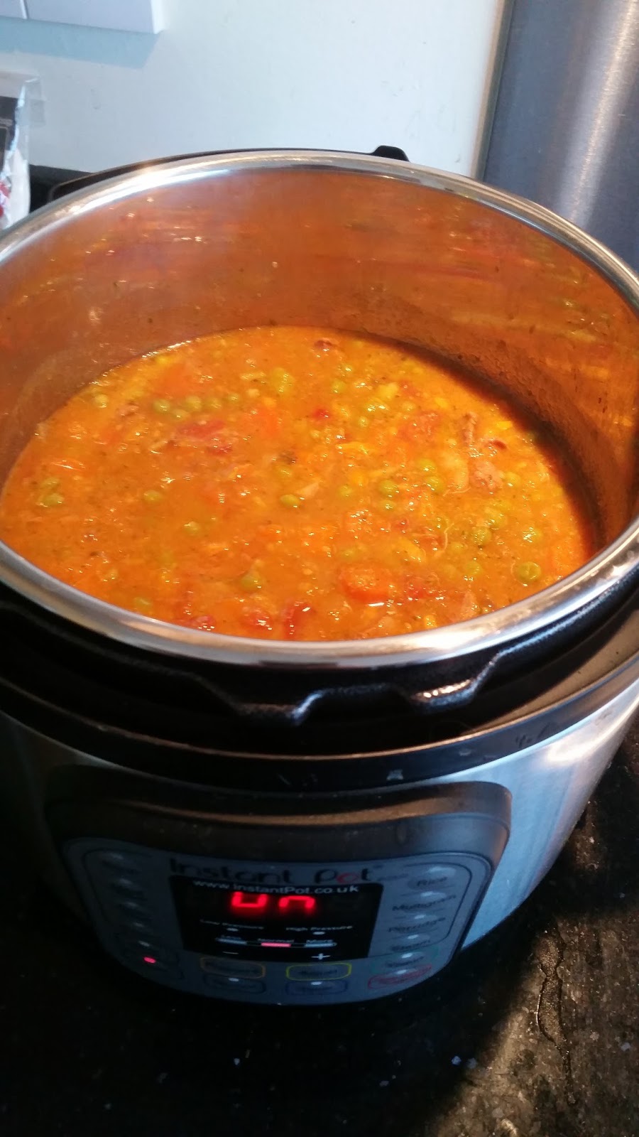 LLM Calling Review Instant Pot for Visually Impaired Cooks