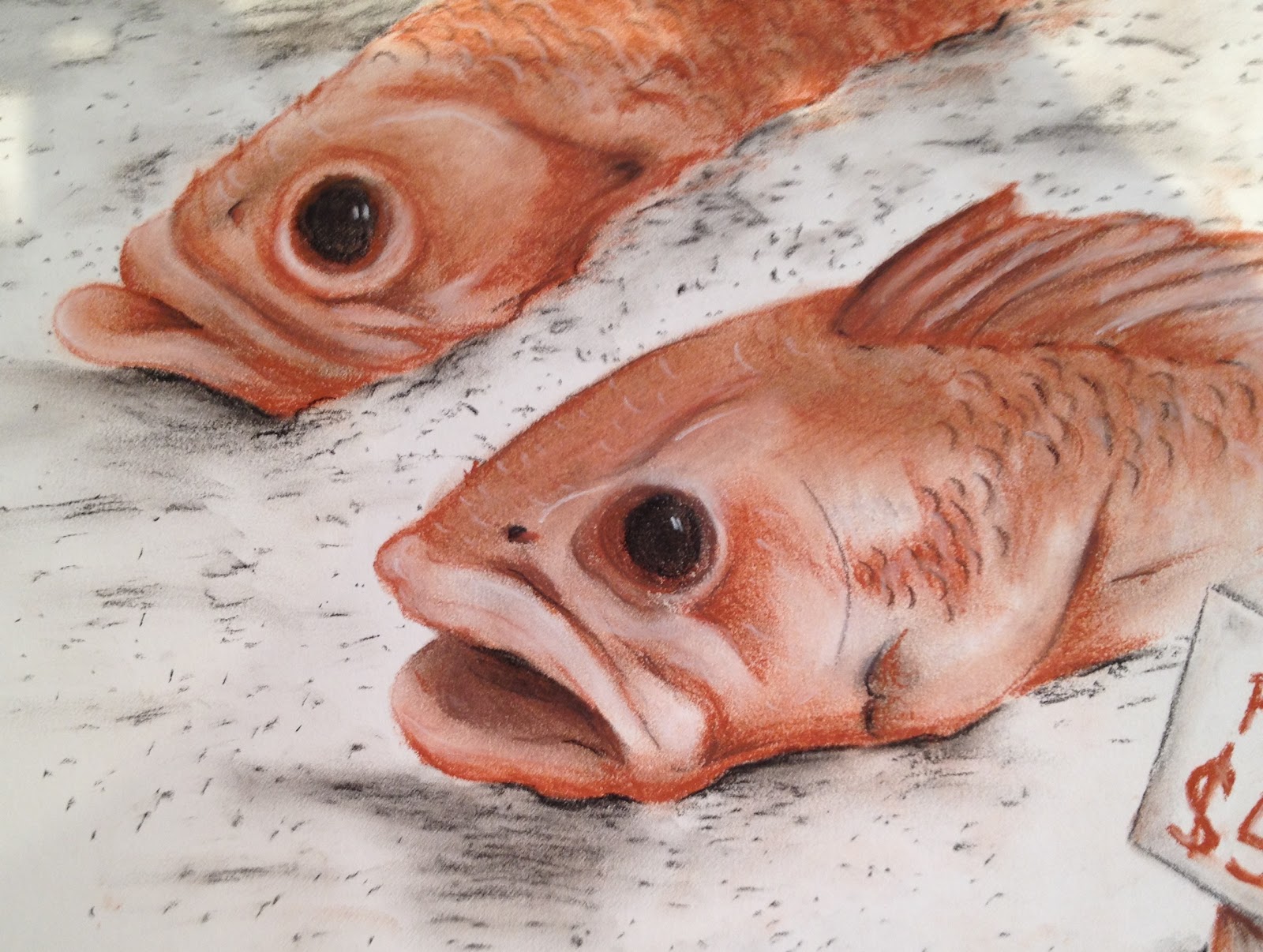 Hezzobloggo: Fish Drawing