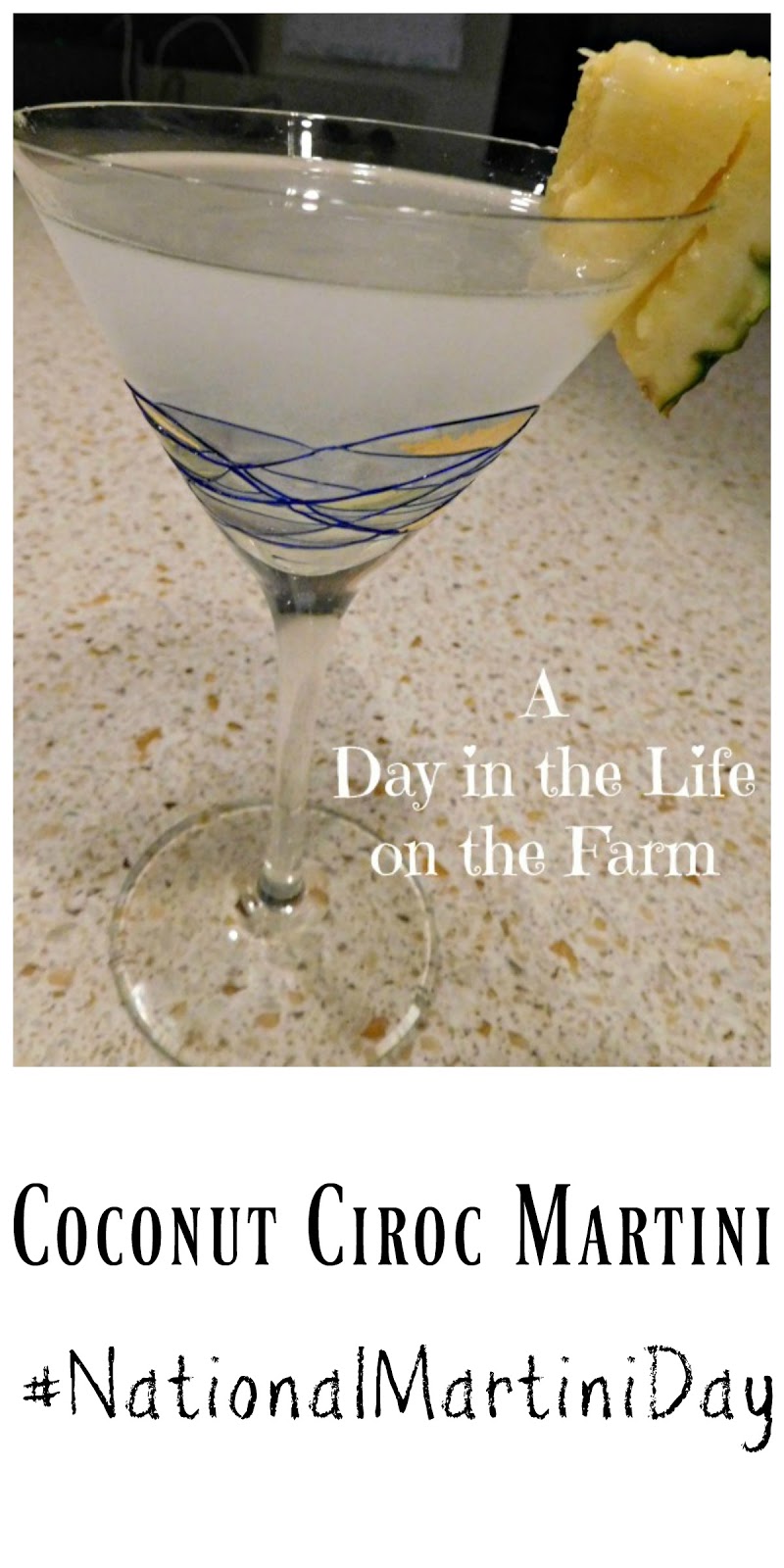 A Day in the Life on the Farm Coconut Ciroc Martini NationalMartiniDay