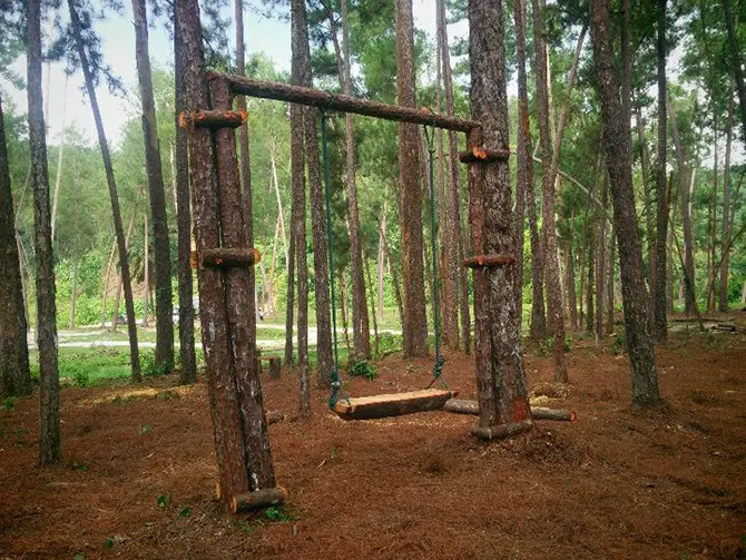 3-tarikan-utama-di-terap-pine-forest-kulim-kedah