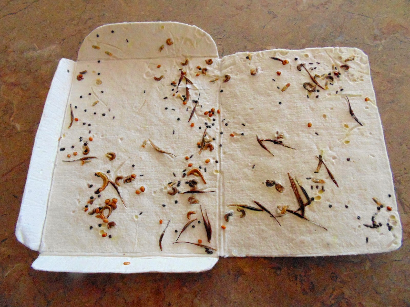 Arnold Grummer Blog Making Seed Paper