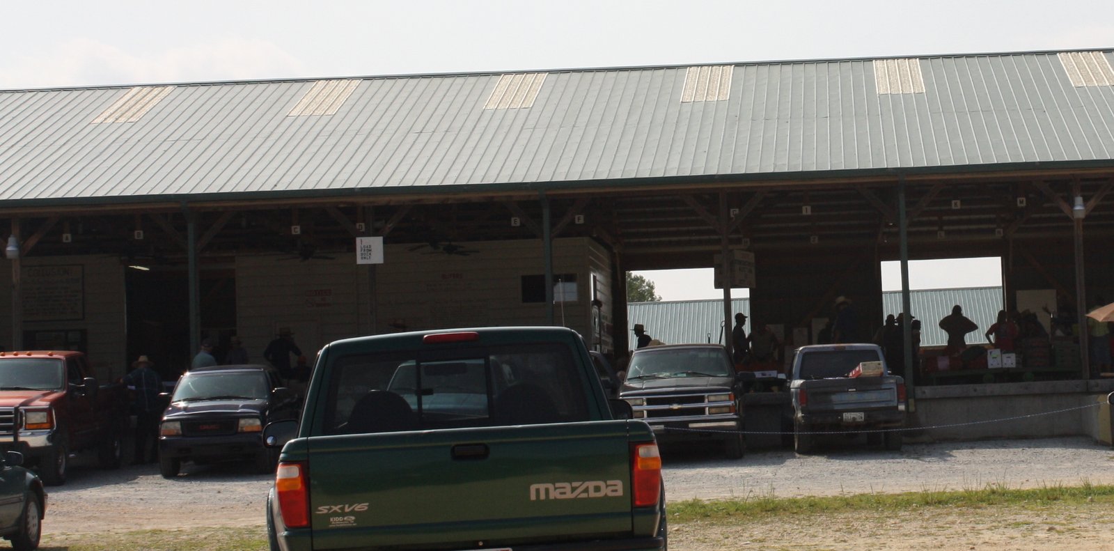 Mitchells on the trail Amish Produce Auction