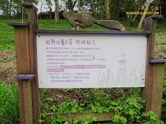 Taiwan 新竹尖石薰衣草森林