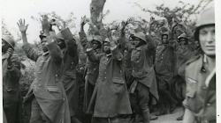 Đức Quốc xã đã đối xử với những người Senegal và người da đen như thế nào?