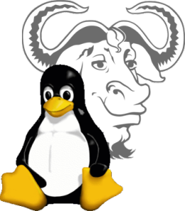 Network Operating System Network Operating System