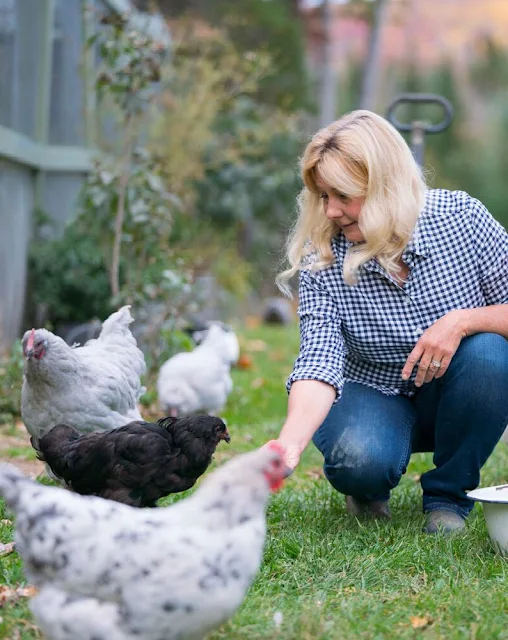 woman feeding chickens in grass