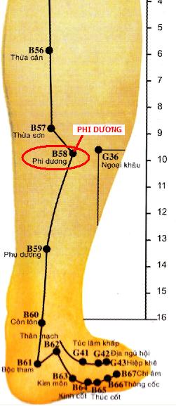 Vị trí huyệt phi dương