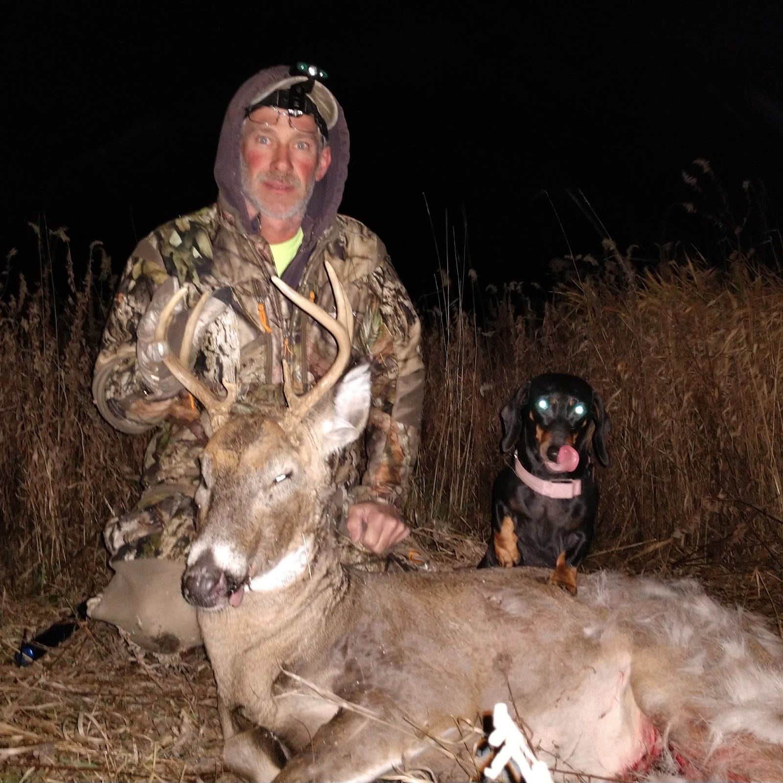 Miller Deer Tracking November 2017