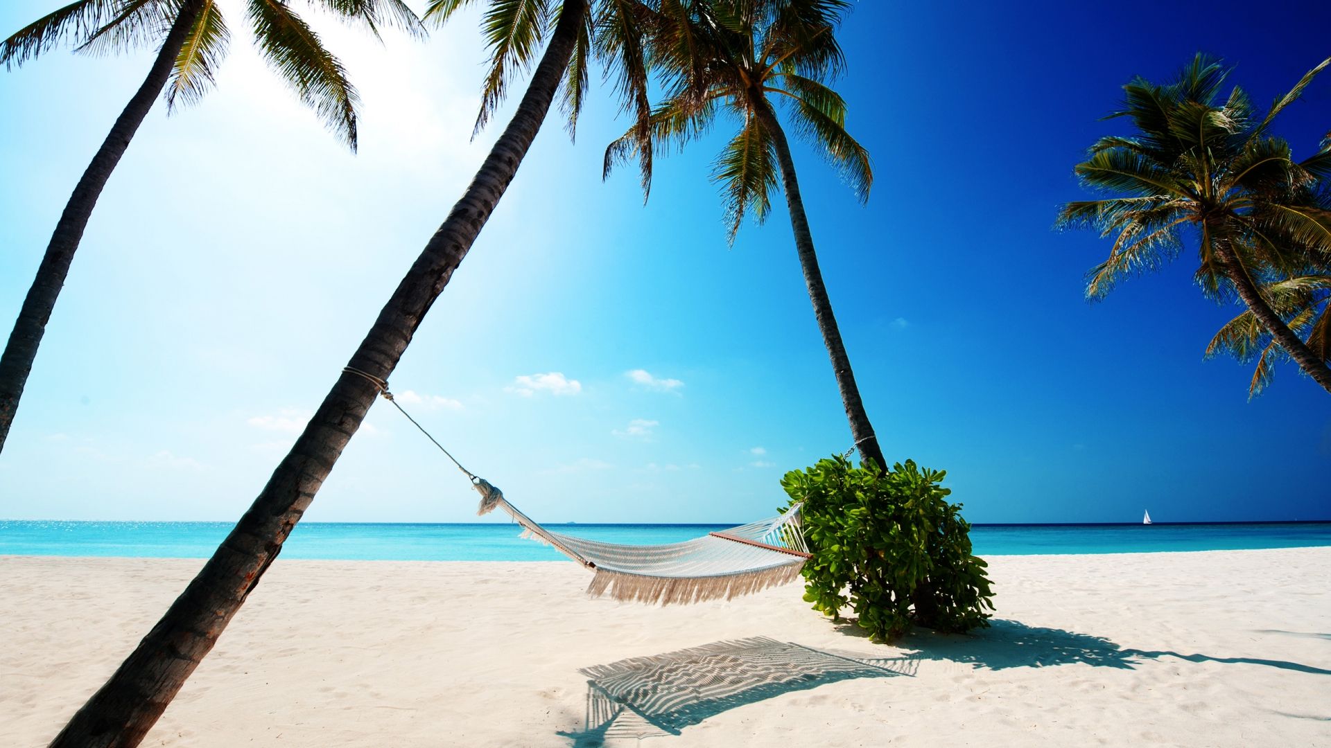Yaz Duvar Kağıtları (Summer Wallpapers) Yaz Duvar Kağıtları (Summer Wallpapers)