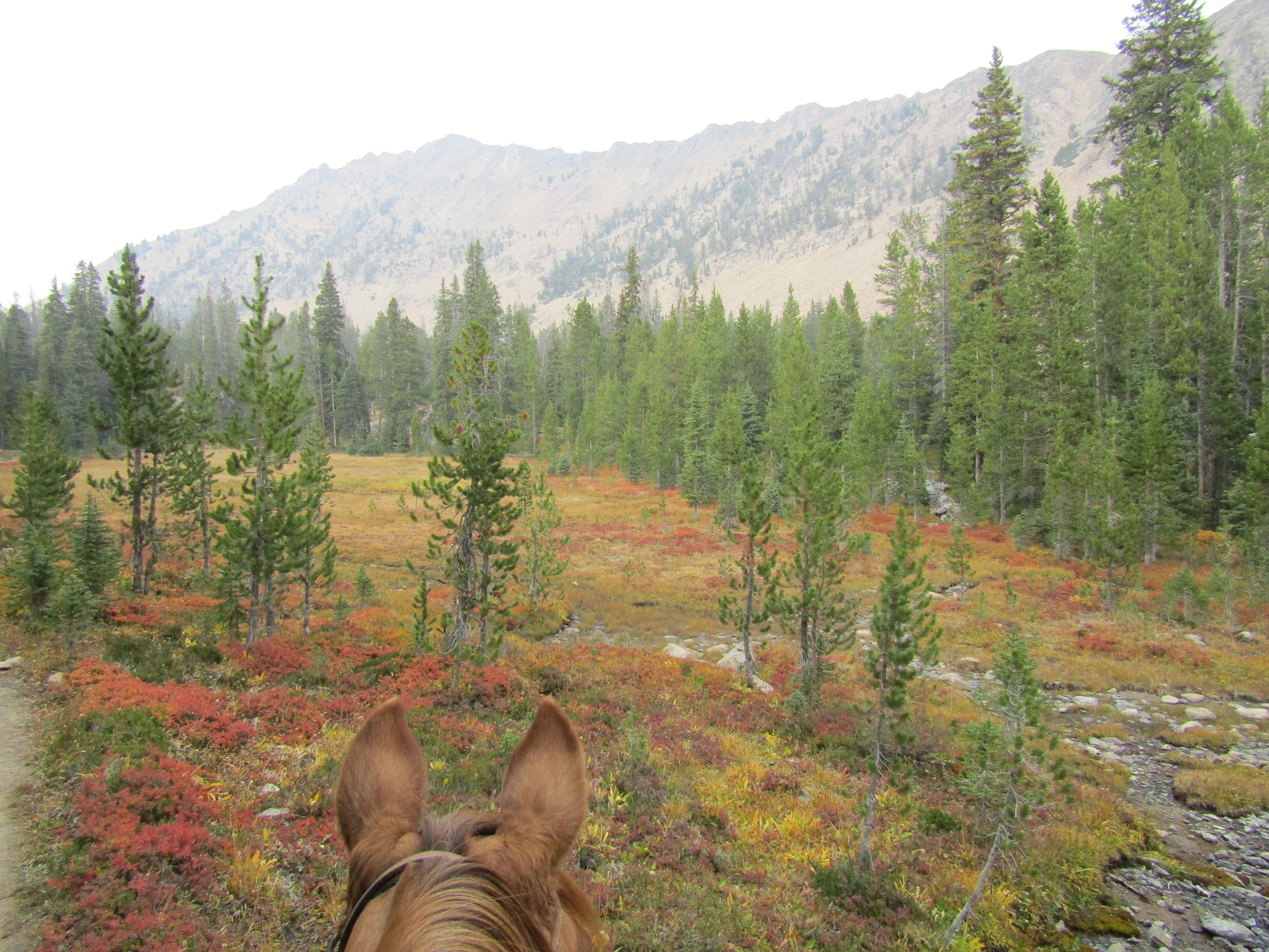 Holly's Horse Tales and Trails Tin Cup, Decker Flat, Iron Creek and