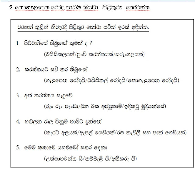 Grade 3 Sinhala Activity 02