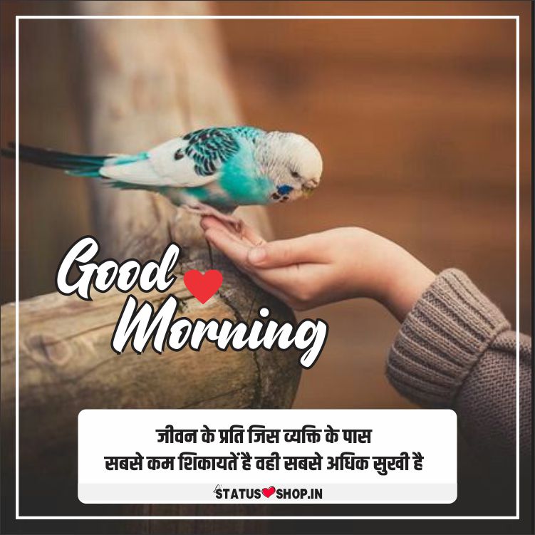 200+ Good Morning Quotes & Wishes in Hindi | गुड मॉर्निंग कोट्स हिंदी -  Status shop