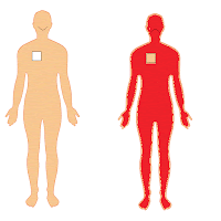 cc2dcc350d1772f24bee9e0e55e3029a-human-body-man-by-vexels.gif