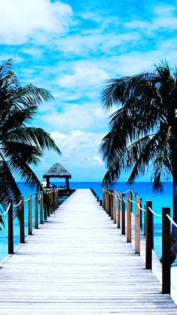 nature images hd wallpaper for mobile