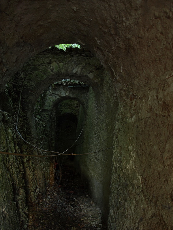 Massimo Gugliucciello: Il Monastero Maledetto dei Monaci del Diavolo