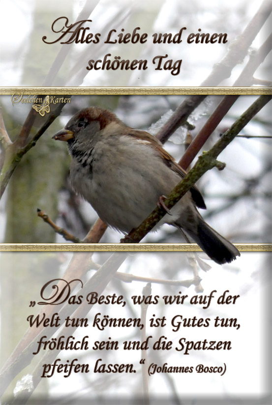 Seelchen Karten und Collagen „Das Beste,