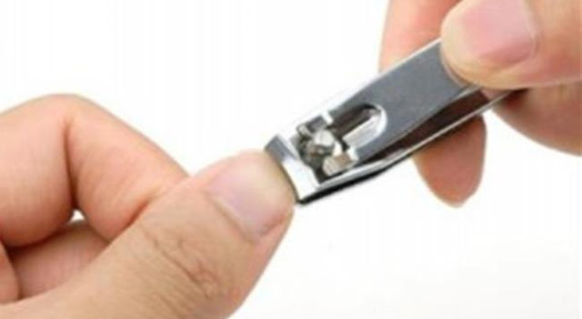 حكم الأخذ من الشعر أو الأظافر للمضحي حكم الأخذ من الشعر أو الأظافر للمضحي