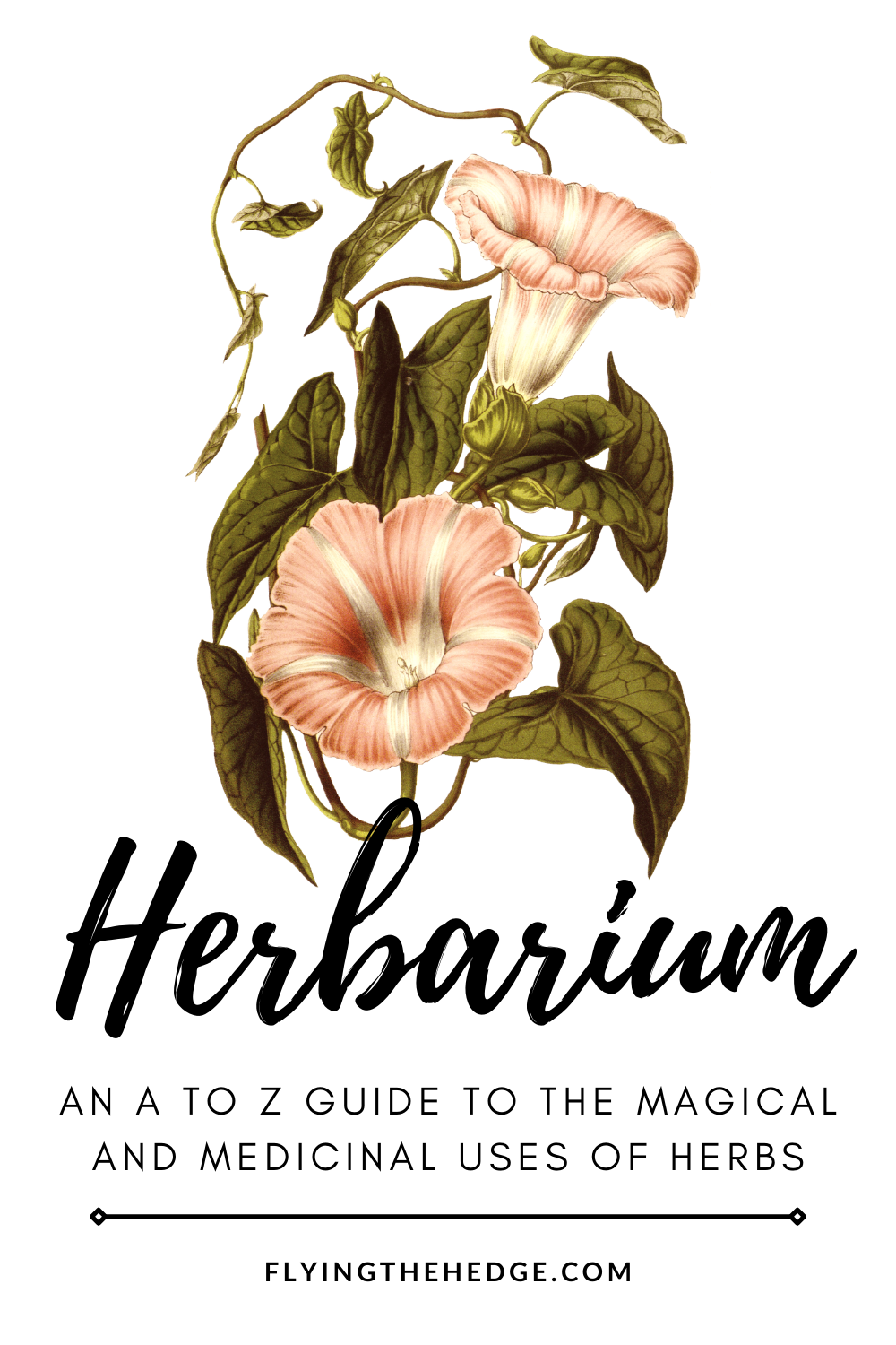 Flying the Hedge Herbarium