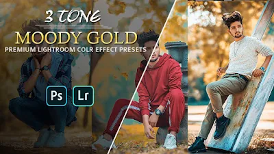 NSB Pictures 3 Moody Gold Presets Pack Free Download - NSB Pictures