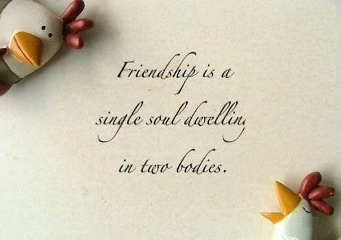 80+ Best Friendship Day Quotes 2017 In English