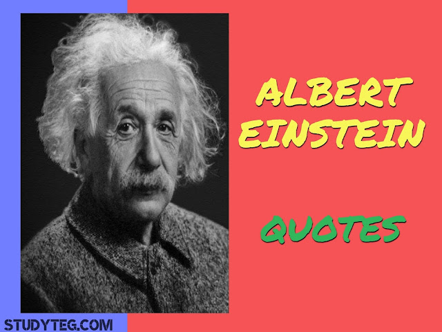 Albert Einstein Quotes in hindi