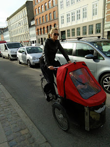 Cycle commuters in Copenhagen