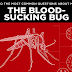 Answers to the Most Common Questions about Mosquitoes #infographic