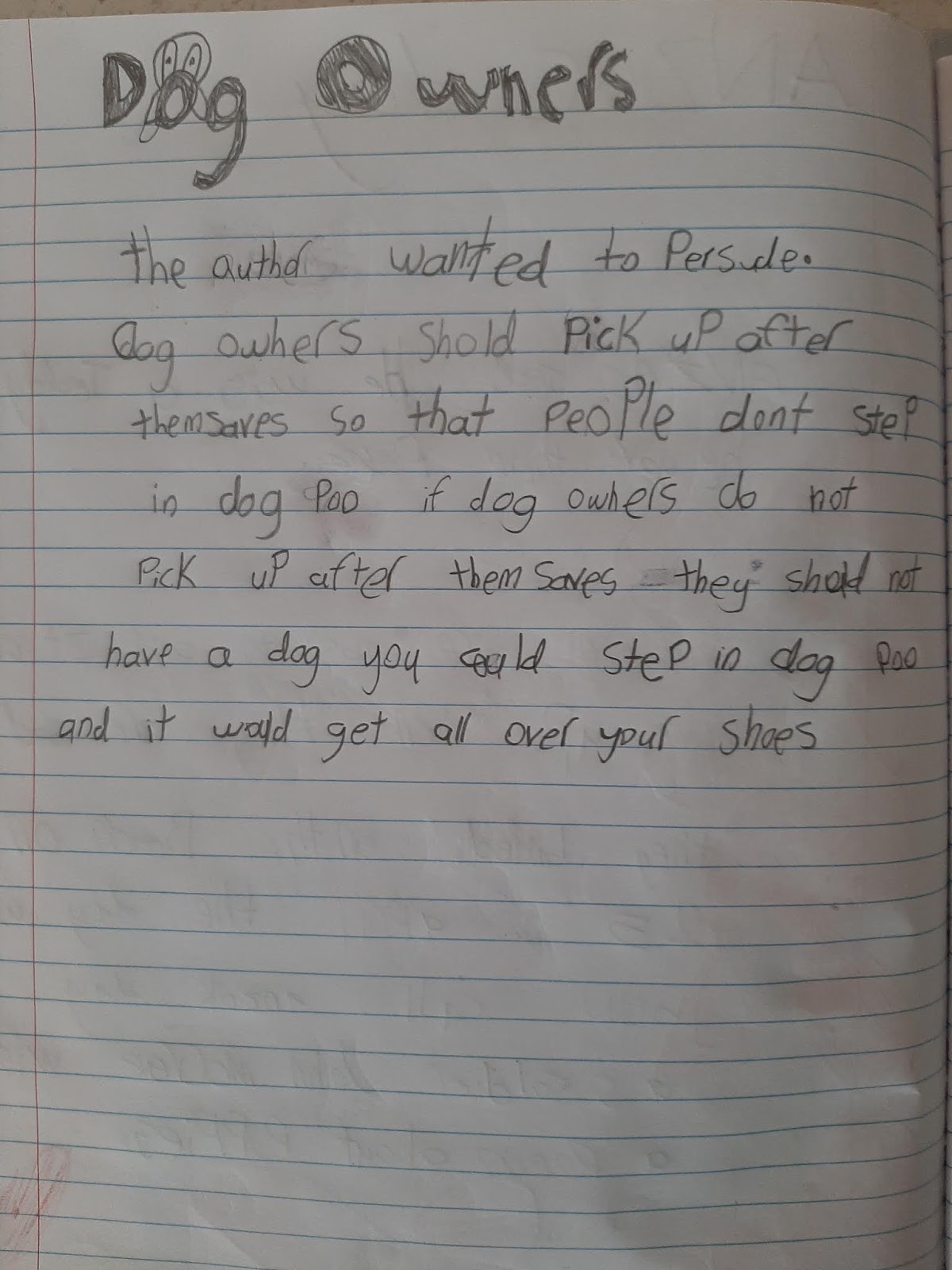 St francis essay picture