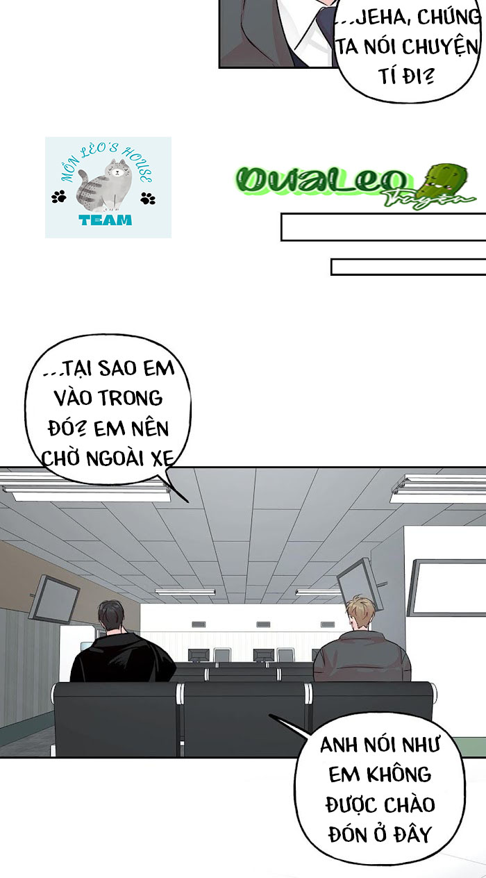 Đọc truyện Assorted Wildness - Chapter 42