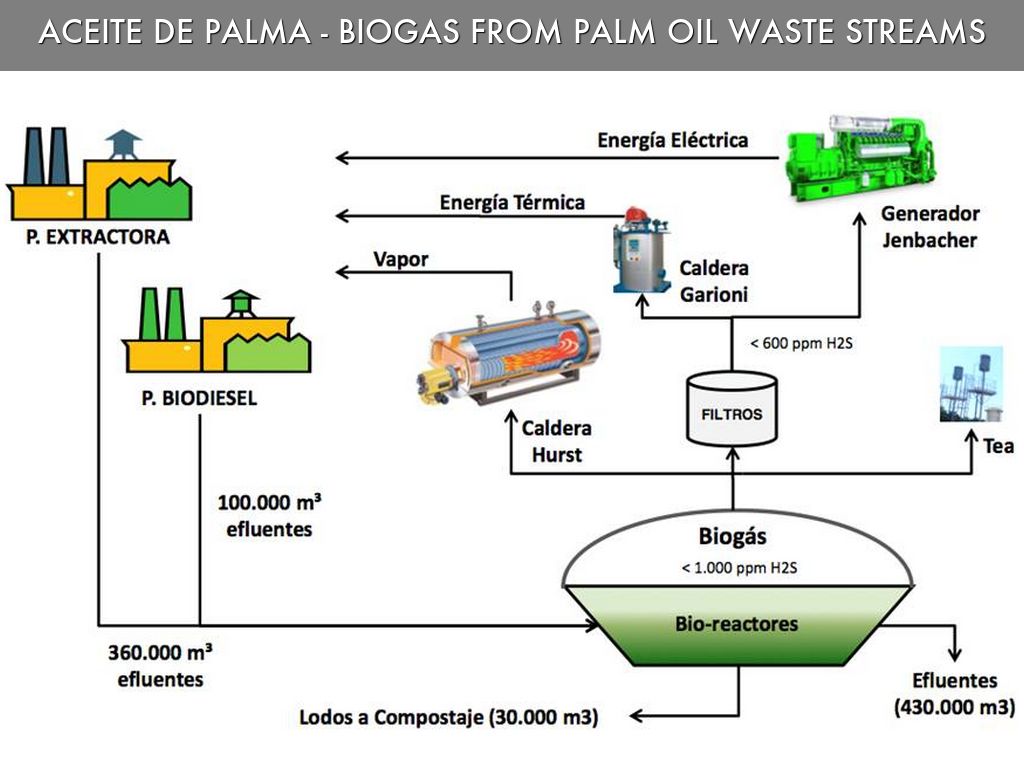 Reproducción del biogas