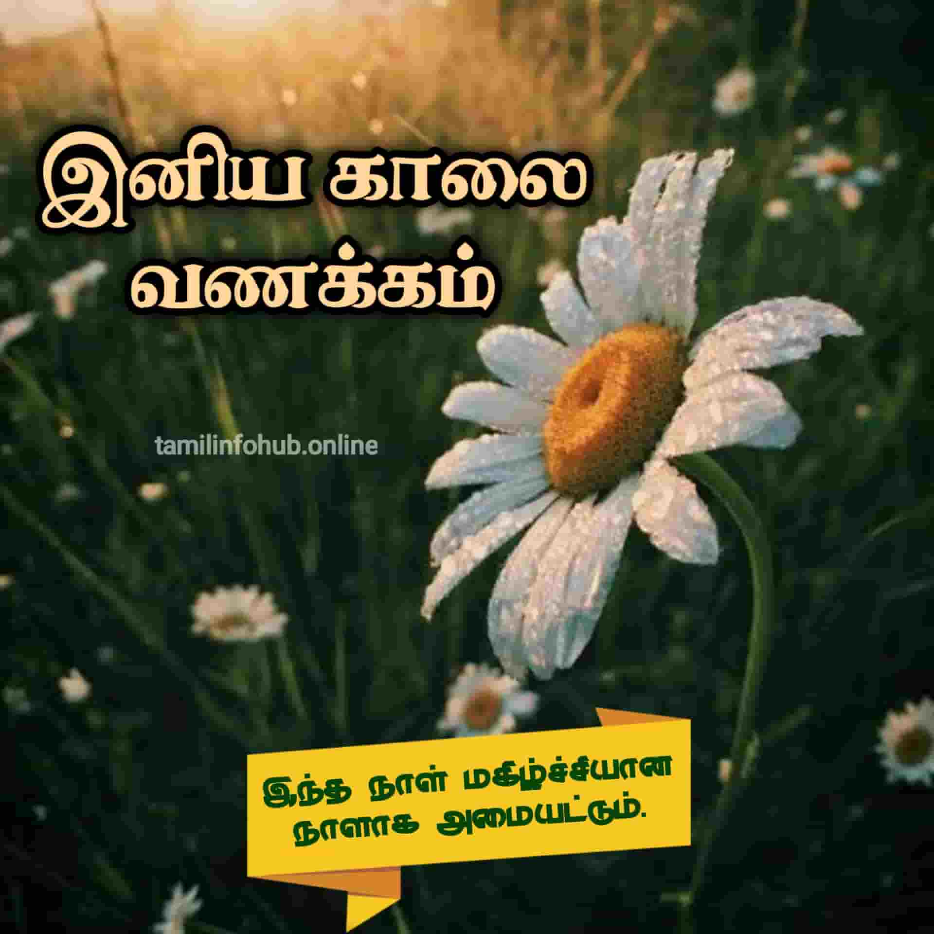 Good Morning Images in Tamil | Good Morning Quotes in Tamil | Good Morning Kavithai Tamil good morning
