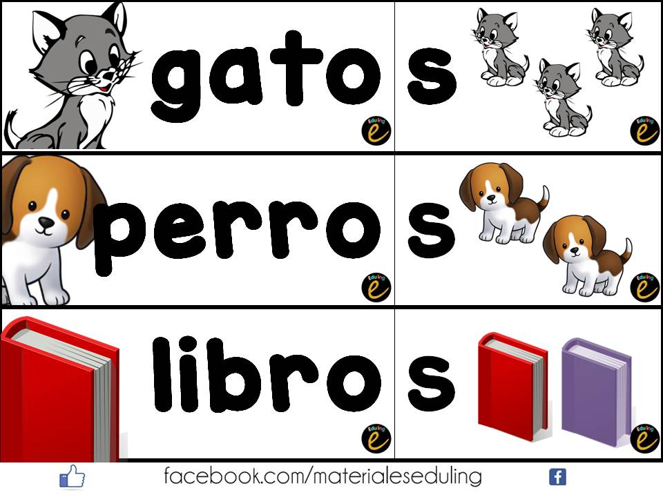 Eduling Singular y plural