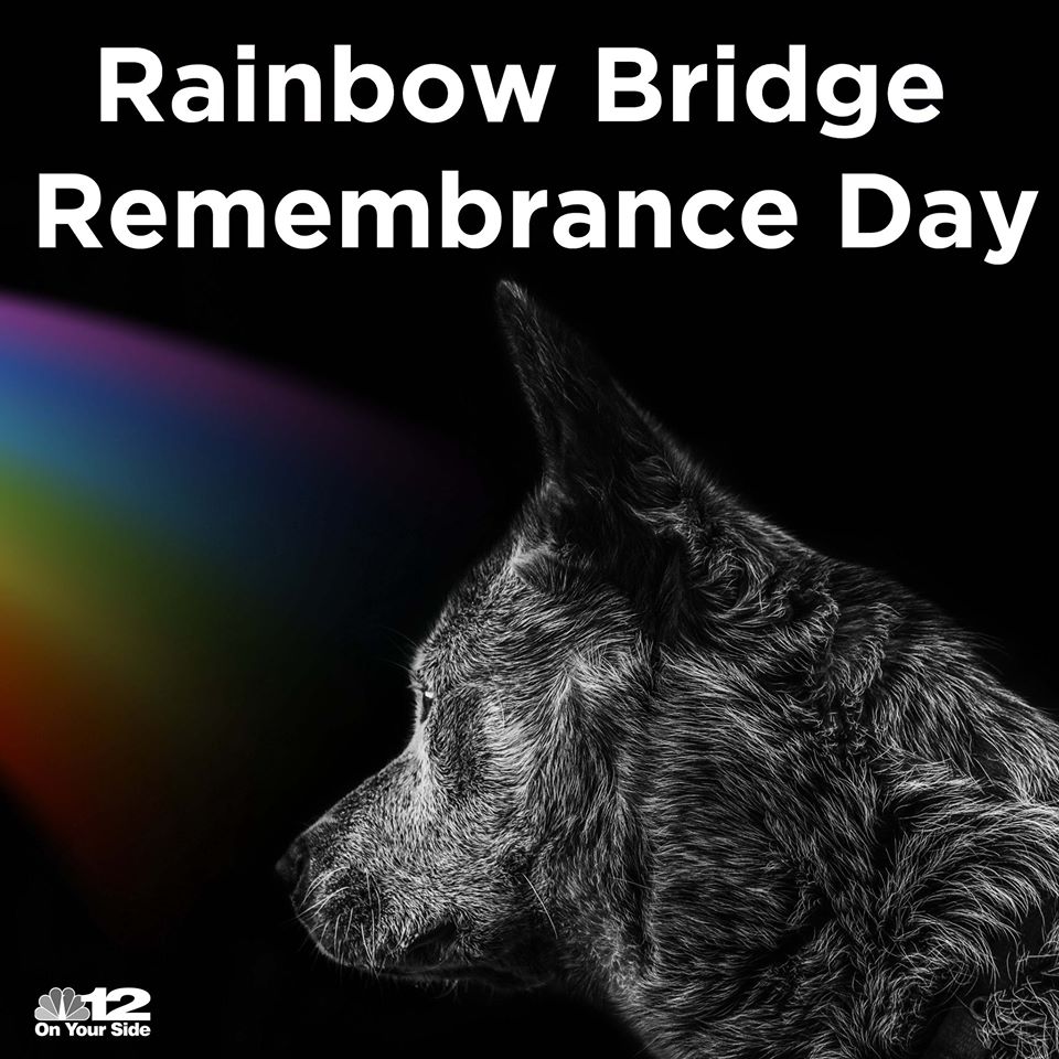 Rainbow Bridge Remembrance Day