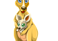 Asal Usul Kantong di Perut Kangguru