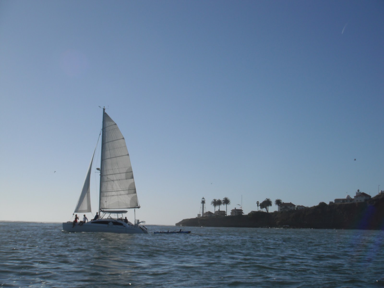 Fun Cat Sailing Catamaran Adventures Fun cat sailing catamaran adventures