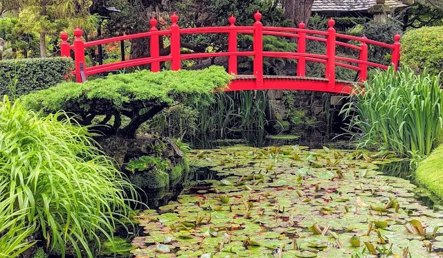 Things to do in Kildare: Visit the Japanese Gardens at the Irish National Stud