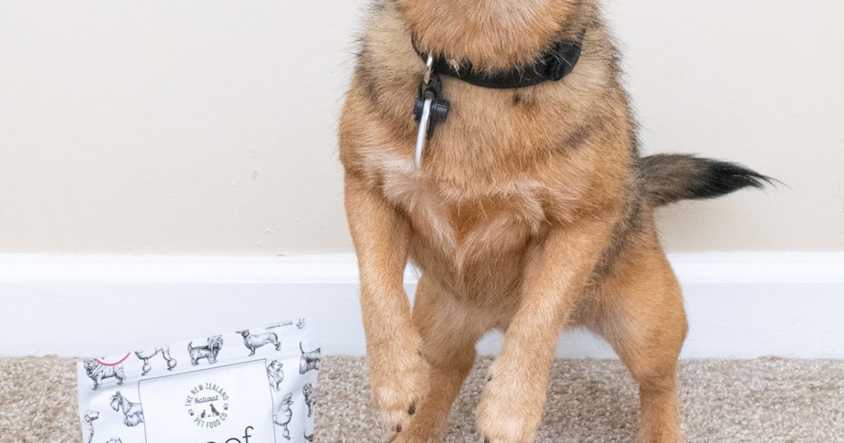 Mini Review The New Zealand Natural Pet Co. WOOF Lamb Green Tripe