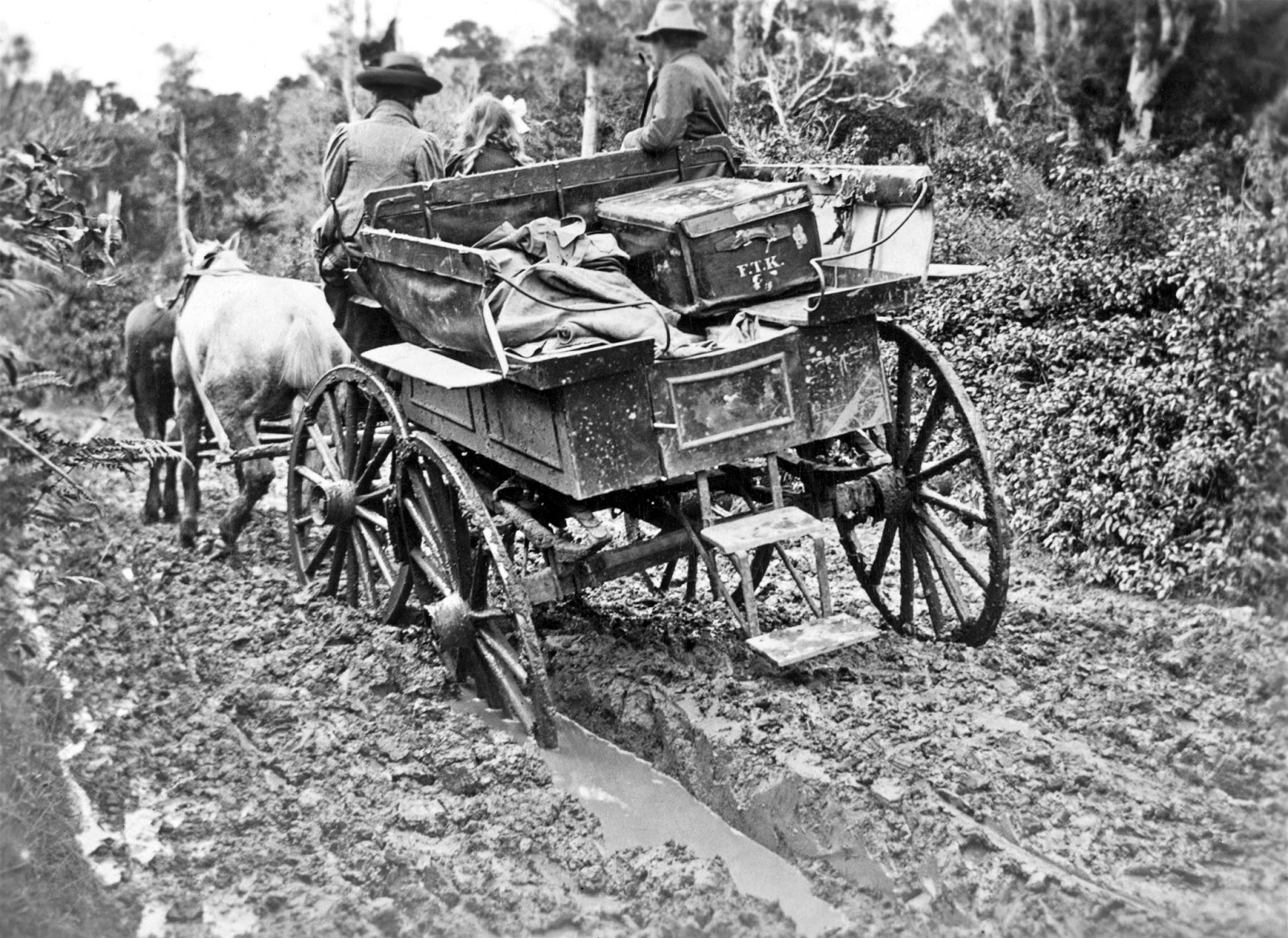 Horse drawn wagon on a muddy road, at Frederick Truby King's farm in