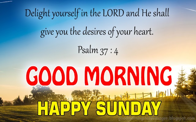 Download HD Christmas 2021 & New Year 2022 Bible Verse Greetings Card & Wallpapers Free Download Hd Christmas 2021 & New Year 2022 Bible Verse Greetings Card & Wallpapers Free