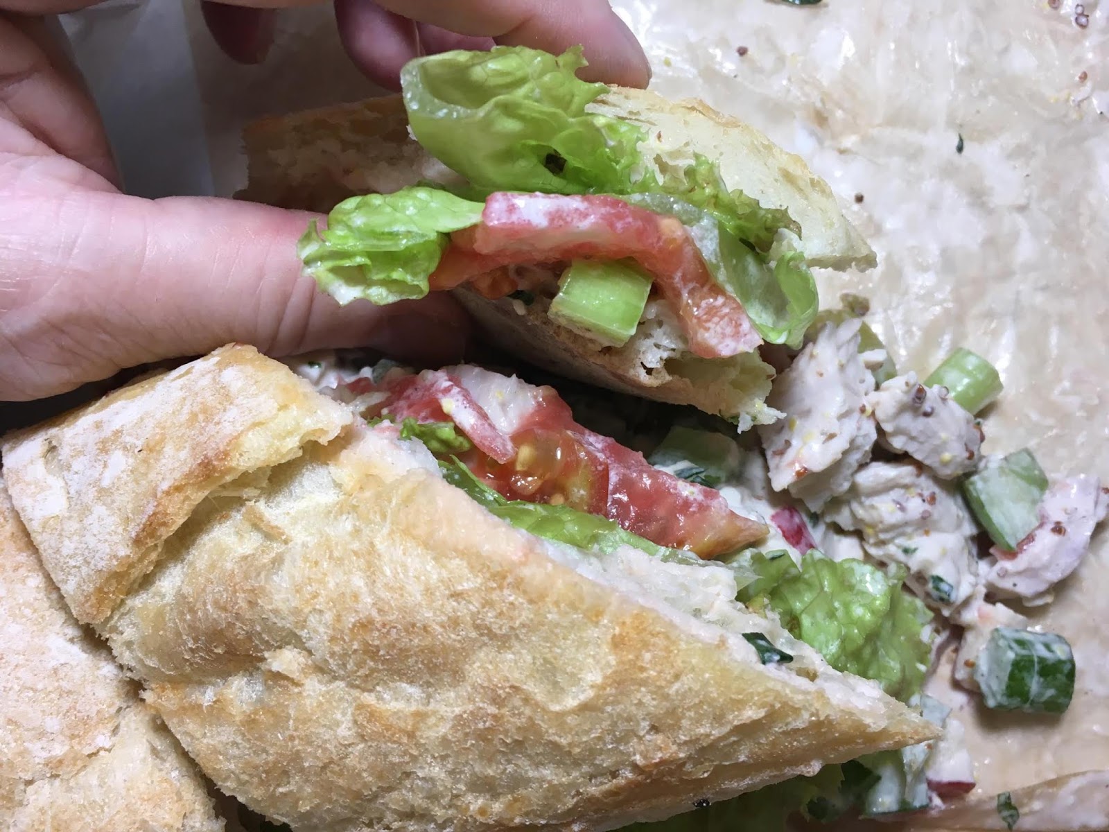 Mark and Lynn Are Famished Copper Beech in Bellport, Long Island has