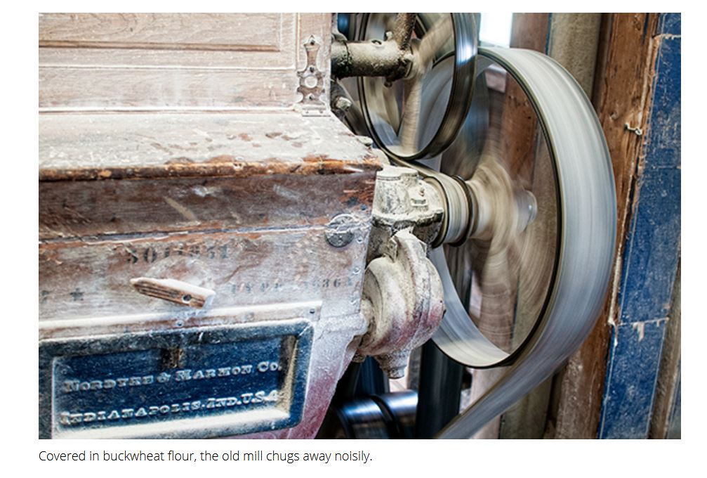 Buckwheat Kitchen Garden all about growing and using buckwheat