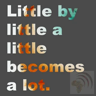 African proverb Little by little a little becomes a lot.