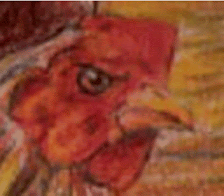 Detil bagian kepala ayam Gambar Detil bagian kepala ayam sebagai Cara Sketsa Flora dan Fauna Dengan Mudah