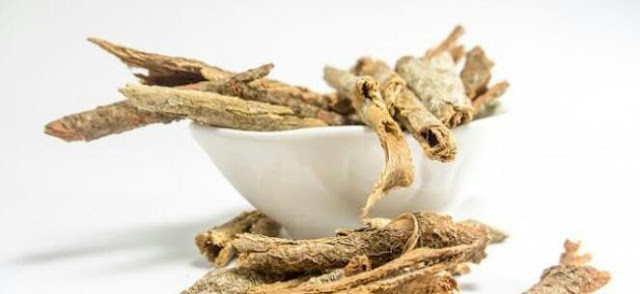 تعرف على نبات العود الهندي وأبرز فوائده