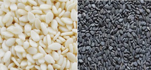 Cultivation of Sesame ( Til) ; A complete Farming Guide Cultivation of Sesame ( Til) ; A complete Farming Guide