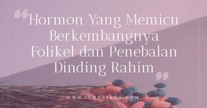 Jawaban Hormon Yang Memicu Berkembangnya Folikel Dan Penebalan Dinding Rahim Ilmusiana