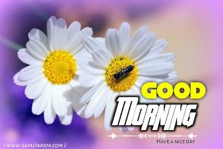 good morning images with flowers gif